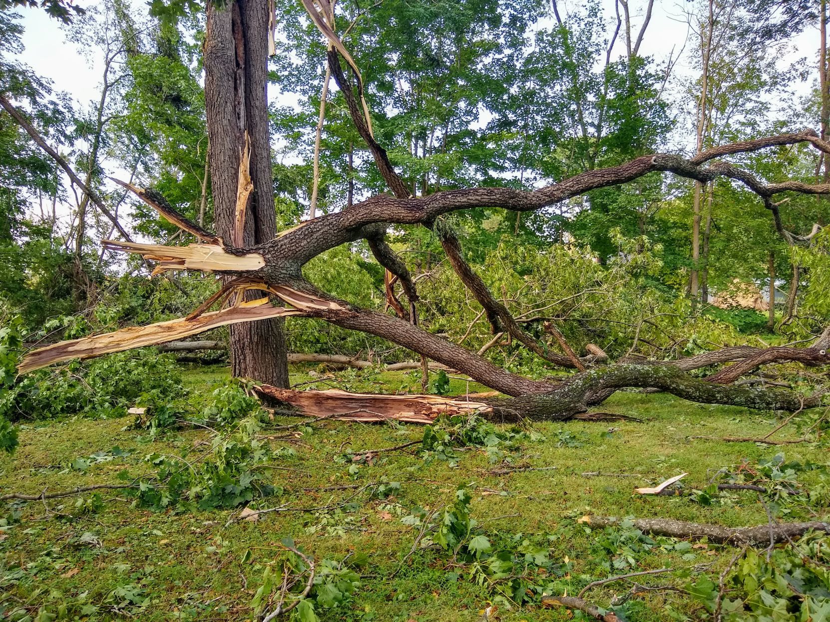 Zion Road Storm Damage